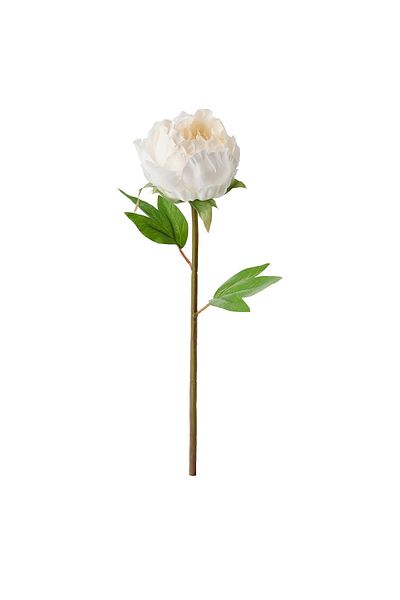 IKEA SMYCKA Artificial Peony Flower White, 30 cm | Lifelike, Eco-Friendly, Durable