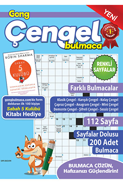 Gong Çengel Bulmaca 016
