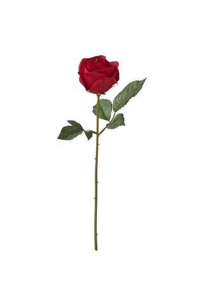 IKEA SMYCKA Artificial Rose Flower 40cm Indoor/Outdoor D cor by IKEA