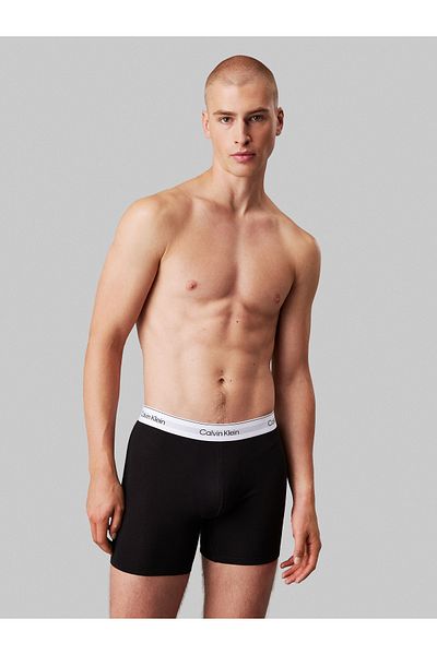 Calvin Klein Men Multicolored Pack of 3 Boxer Briefs