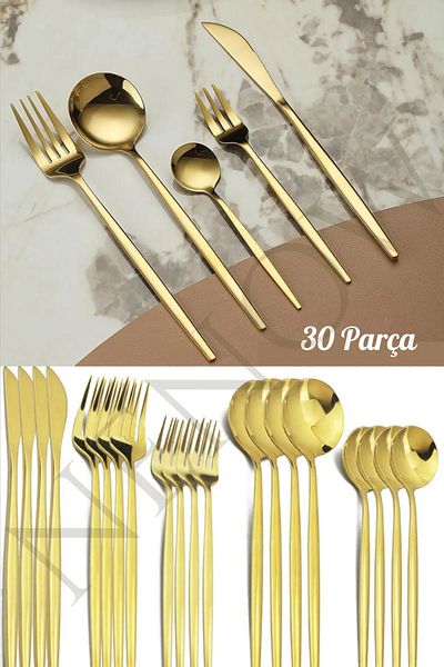 STLIFE High Quality 30-Partit Titanium Gold Top Cleaning Set: Spoon, Knife and Presentation