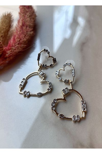 Miltonia Heart Zircon Stone Quality Steel Earrings