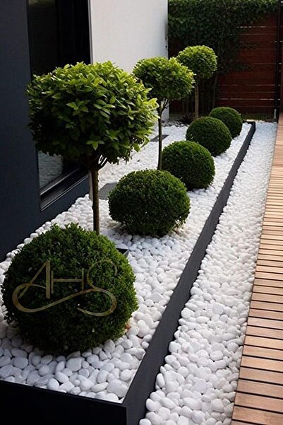 AHS Beyaz Dolomit Taş 25 Kg 2-4 Cm Dere Çakıl Taşı Bahçe Peyzaj Süs Taşı Saks...