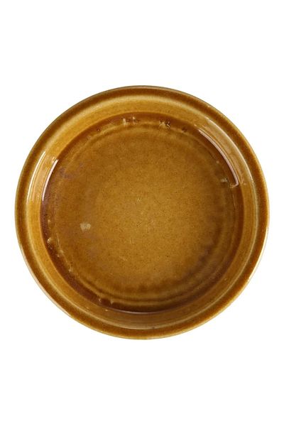 Own Shanghai Glazed Ceramic Plant Saucer (20 cm, Ocher)
