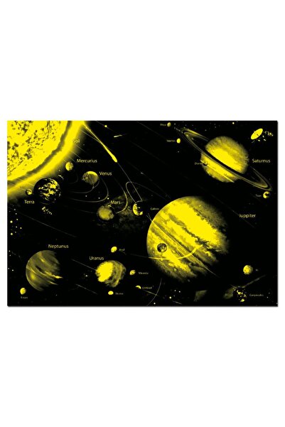 EDUCA Puzzle Solar System 1000 Piece Neon Puzzle