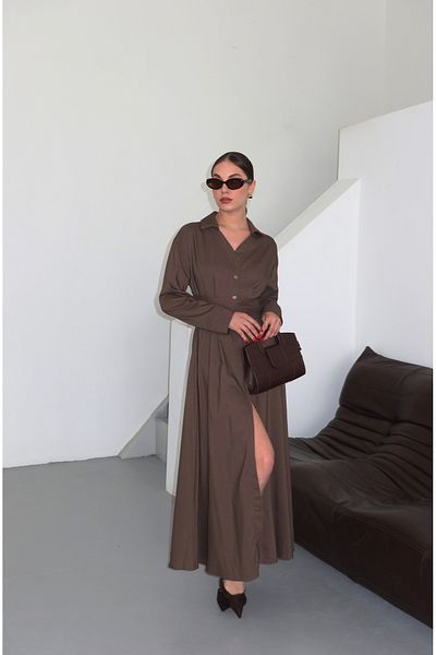 Laluvia Brown Pleated Belted Dress - 2272