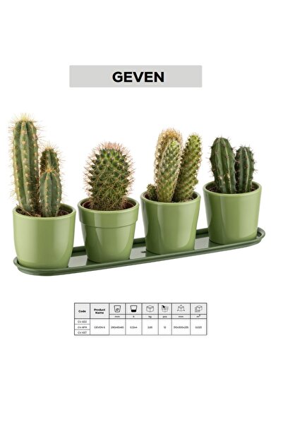 Bulutlife 4'lü Tabaklı Set 0.12 Litre Yeşil Geven Saksı Dekoratif Kaktüs Saks...