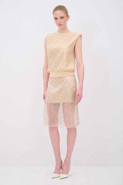 adL Sequin Embroidered Skirt