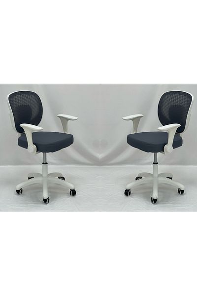 TrentonGCC Ergonomic Mesh Office Chair with Sleek White Accents - 2 SET