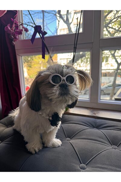 For a Fur نظارات شمسية للقطط والكلاب مع إطار أبيض للحيوانات الأليفة