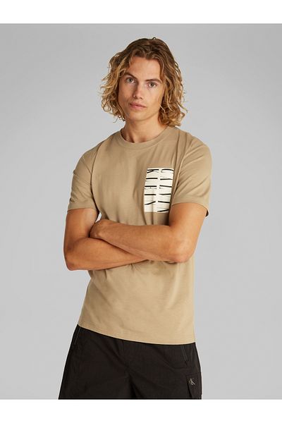 Calvin Klein Calvin Klein Men Brown Serif Box Graphic Short Sleeve T-Shirt