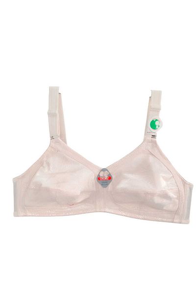 wear treasure Plus Size (110-130) t & D Cup for Women with Wire Support Immersive