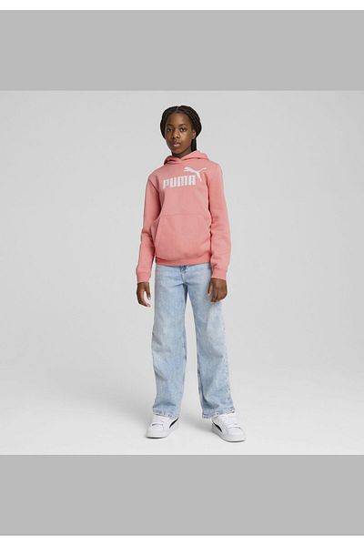 Puma ESS No. 1 Logo Fleece Hoodie Youth