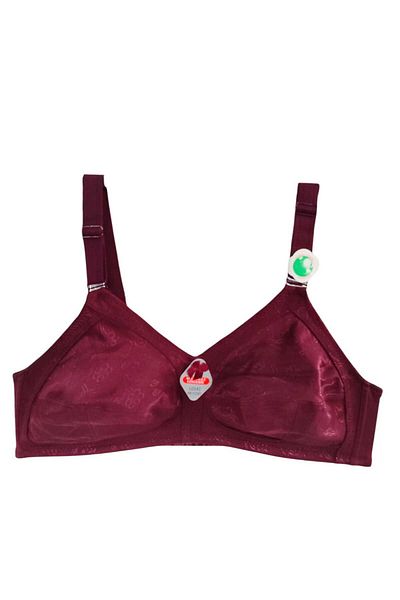 wear treasure Plus Size (110-130) t & D Cup for Women with Wire Support Immersive