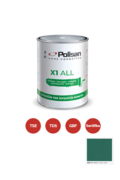 Polisan POLİSAN X1 ALL Dönüşüm Boyası 0,75 Lt Asil Yeşim / 4525