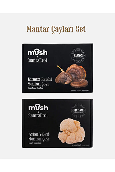 Mush Kırmızı Reishi & Aslan Yelesi Mantarı Çayı