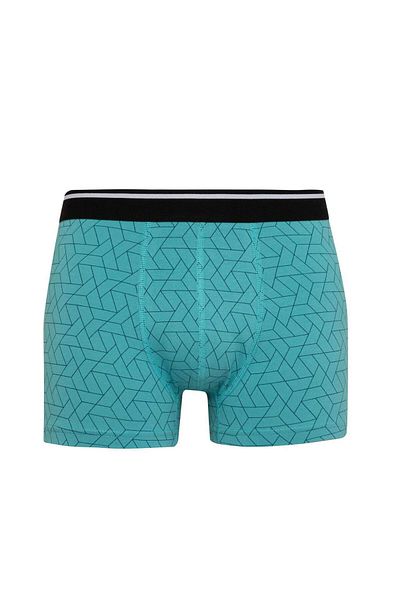 DeFacto Regular Fit Printed 3-Piece Boxer A5864Ax24Sm