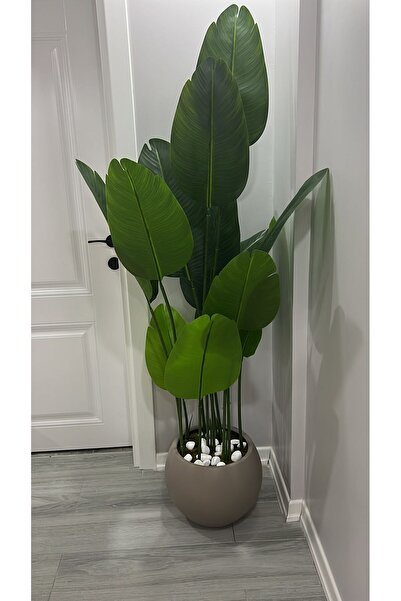 İremÇiçekçilik Yapay Çiçek Uygula Yapay Ağaç 170 Cm 12 Yaprak Starlice