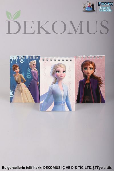 Disney DEKOMUS LICENȚIAT FROZEN ELSA A7 NOTEBOOK