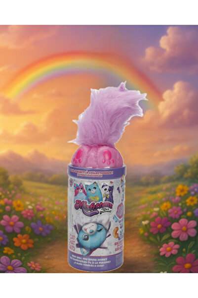 Fillikutum Misfittens Sürpriz Peluş Kutusundan Çıkınca Şaşırtan Sevimli Kedi ...