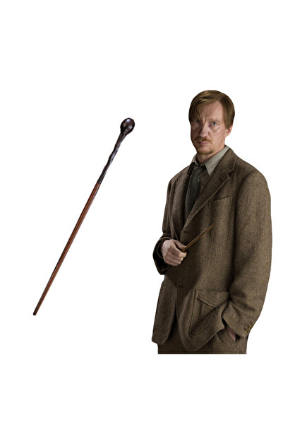 Vera Remus Lupin Asası Harry Potter Kutulu Asa