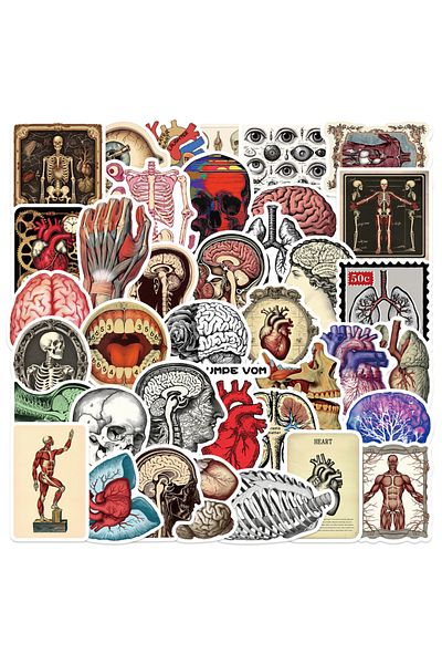Choice 50PCS ALL 50pcs Retro Scientific Anatomy Stickers Waterproof PVC Decals for Laptops Scrapbooks Guita