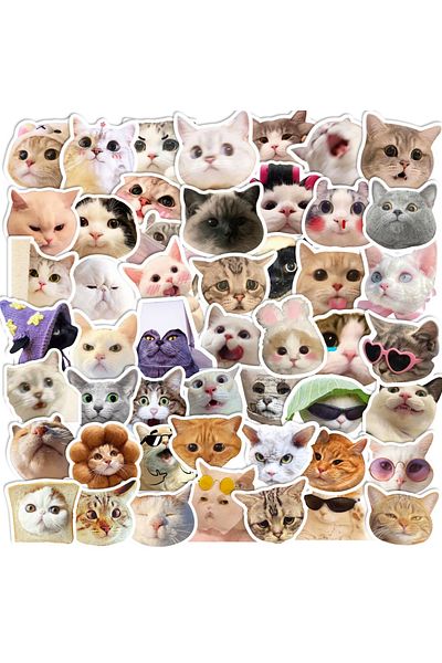 Choice cat 50pcs 50PCS Cute Cat MEME Cartoon Animals Graffiti Stickers DIY Phone Guitar Laptop Notebook Sui