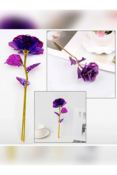 rkm store Purple Color Infinity Rose Gift Rose - Unfading Rose - Gift for Lov...