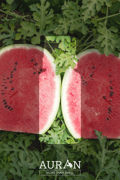 AURAN Karpuz Esansiyel Uçucu Koku Yağı Ortam Kokusu Doğal Yağ Sihirli Küre Hobi Esansı 10ml