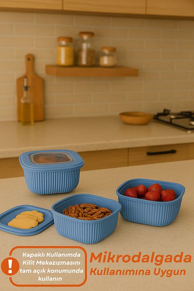welcomein 3-Piece Colorful Lockable Lid Storage Container Diffuse Microwave and Refrigerator Compatible Organizer