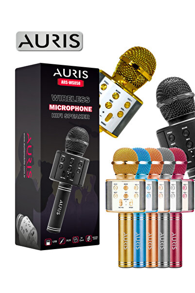 Auris Kareoke Mikrofon