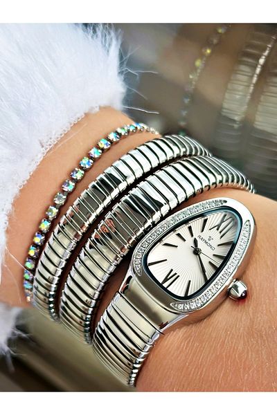 Raymond Silver Color Steel Case Cord Snake Model Stone Business Women's Wristwatch + Bracelet