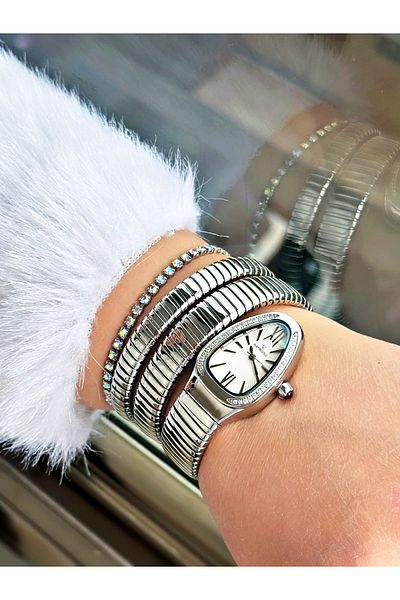 Raymond Silver Color Steel Case Cord Snake Model Stone Business Women's Wristwatch + Bracelet
