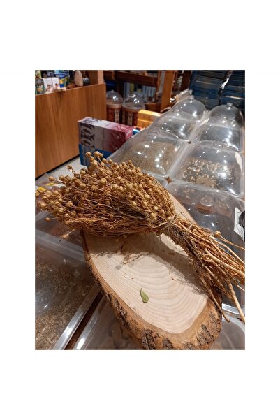 tan organik Holly Bunch 1Pc