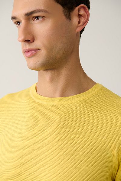 Avva Men's Yellow Crew Neck Textured Cotton Knitwear T-Shirt E 005027