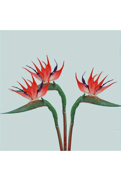 Choice 3pcs-red 3pcs Artificial Bird Of Paradise Flowers Rubber Strelitzia 24.5'' Long Stem Flower Suitable