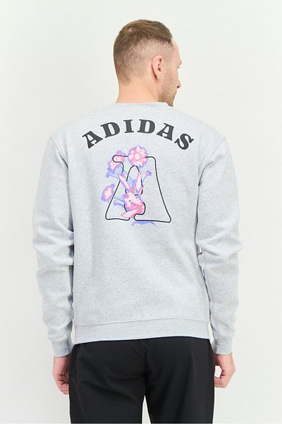 adidas Men Sportswear Fit Long Sleeves Outdoor Sweatshirt, Light Grey