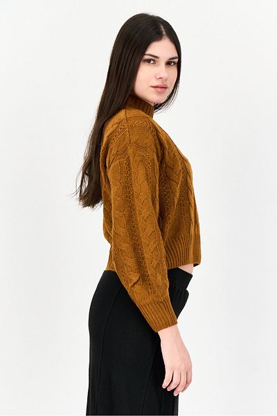 PİNK ROSE Women Chocker Neckline Knitted Crop Sweater, Brown