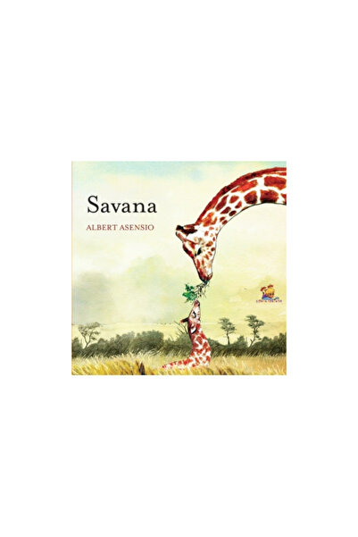 Lizuka Educativ Σαβάνα - Άλμπερτ Ασένσιο