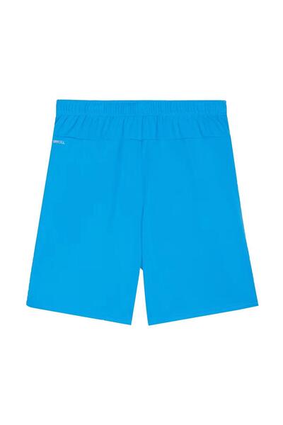 Puma Шорти Mavi Teamgoal 705752