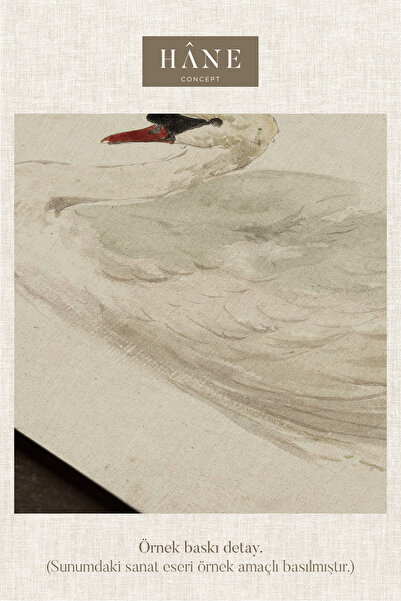 Hane Concept Vintage Pembe Güller Baskılı Çerçeveli Tablo, Galeri Duvarı, Sanatsal Baskı, Çiftlik Evi Dekor