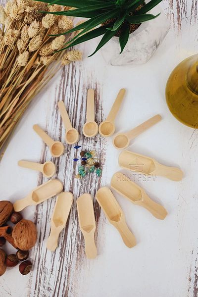 MONTESEV 12 Pieces Wooden Board Spice Sugar Coffee Jam Spoon Tree Spoon Set