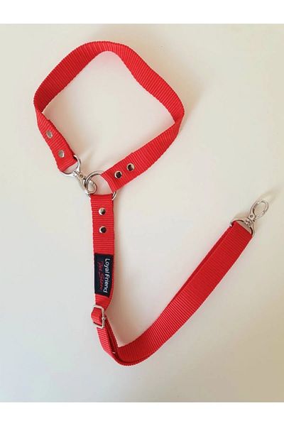 Loyal Friend Store حزام مقعد السيارة للكلاب، حزام مقود السيارة للحيوانات الأليفة - أحمر