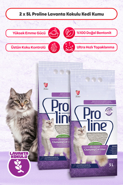 Pro Line Proline Lavanta Kokulu Bentonit Kedi Kumu 5 Lt (2 Adet)