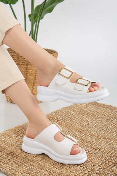 HCO Mules