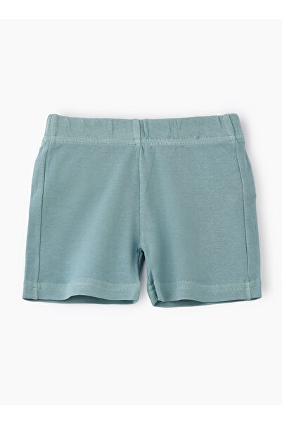 Basicxx Soft Mint Green Knitted Cotton Shorts for Boys