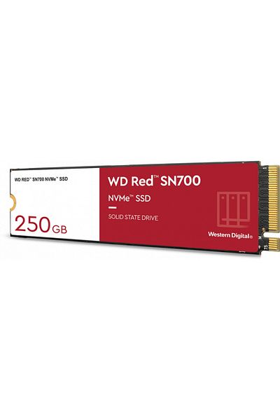 WESTERN DIGITAL SSD Western Digital Red SN700 250GB PCI Express 3.0 x4 M.2 2280