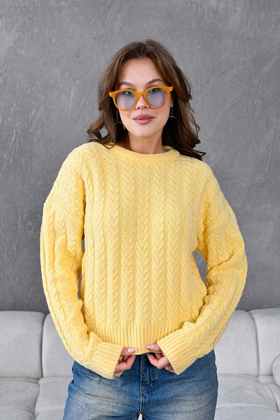 Park Karon Women's Crew Neck Knit Detail Knitwear Sweater
