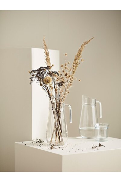 IKEA TILLBRINGARE Clear Glass Jug 1.7L Capacity, 26.5 cm Height Durable & Stylish