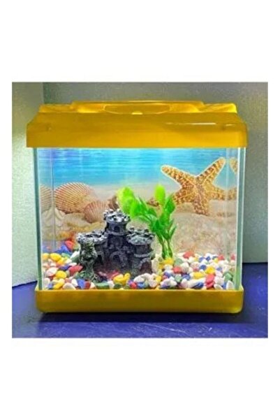canlipetshop Kare Mini Akvaryum SARI Renk 20x20x15 cm
